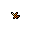 glowing_key_fragment_blade glowing_key_fragment_blade