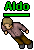npc