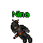 npc