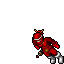 Magier kalinowa Magier kalinowa