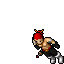 Leonek Baloneq Leonek Baloneq