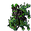 Zeic Zeic