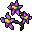 Purple Nightshade Blossoms
