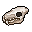 Werebear Skull