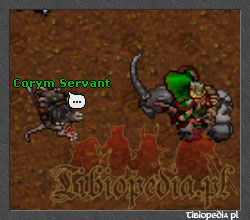 Questy Hidden Threats Quest Tibia Tibiopedia.pl