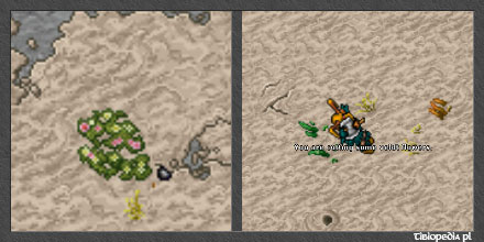 Kilmaresh Quest • Tibia Home