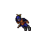 Piotroo