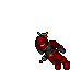 Rayskel